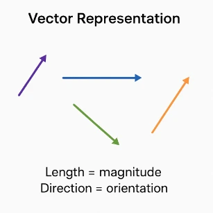 Vector Representation Length= magnitude and Direction = orientation