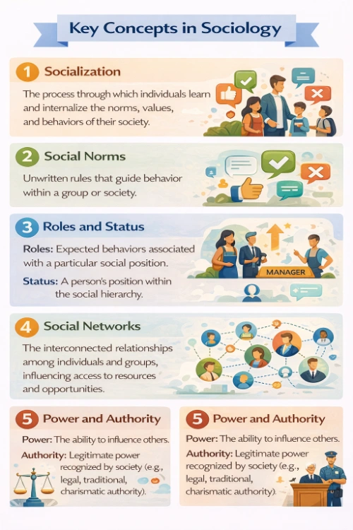 Infographic titled Key Concepts in Sociology showing five concepts: Socialization, Social Norms, Roles and Status, Social Networks, and Power and Authority.