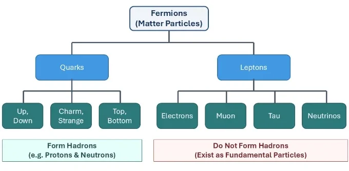 Classification diagram of fermions showing quarks and leptons, their subtypes, and the distinction between hadron-forming quarks and non-hadron-forming leptons