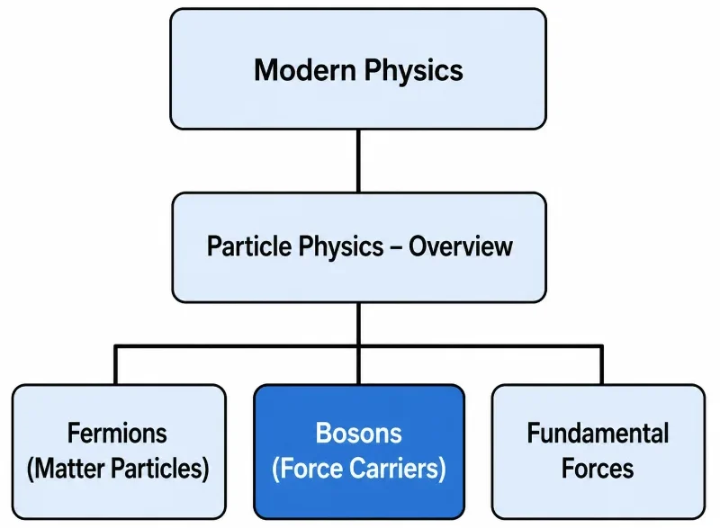 Hierarchical structure chart showing Bosons within the Modern Physics and Particle Physics pathway, alongside Fermions and Fundamental Forces.