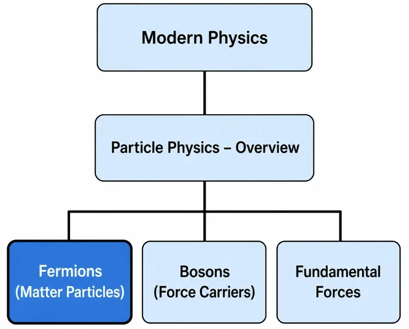 Hierarchical structure chart showing Fermions within the Modern Physics and Particle Physics pathway, alongside Bosons and Fundamental Forces.