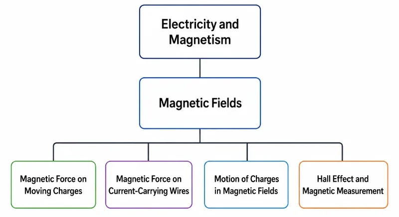 Simple tree structure showing Electricity and Magnetism as the parent page, Magnetic Fields as the cluster page, and four child pages on moving charges, current-carrying wires, charged-particle motion, and Hall effect measurement.