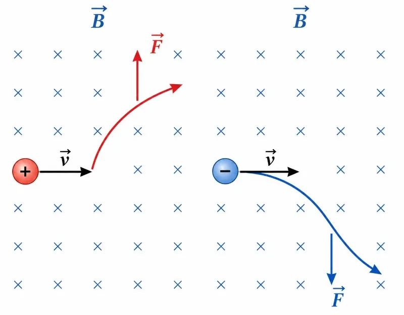Positive and negative charges entering the same magnetic field with the same velocity, bending in opposite directions because the magnetic forces act in opposite directions.