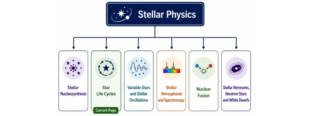 Structure chart showing Stellar Physics as the parent page connected to Stellar Nucleosynthesis, Star Life Cycles, Variable Stars and Stellar Oscillations, Stellar Atmospheres and Spectroscopy, Nuclear Fusion, and Stellar Remnants Neutron Stars and White Dwarfs, with Star Life Cycles marked as the current page.