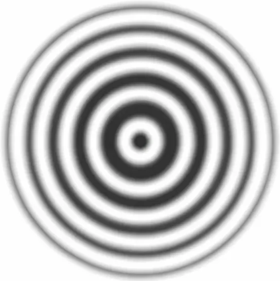 Simple image of Newton’s rings showing alternating bright and dark concentric circular interference fringes.