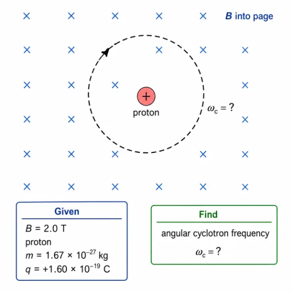 Simple physics diagram showing a proton moving in a circular path in a uniform magnetic field, with the unknown angular cyclotron frequency to be estimated from the given charge, mass, and magnetic field strength.