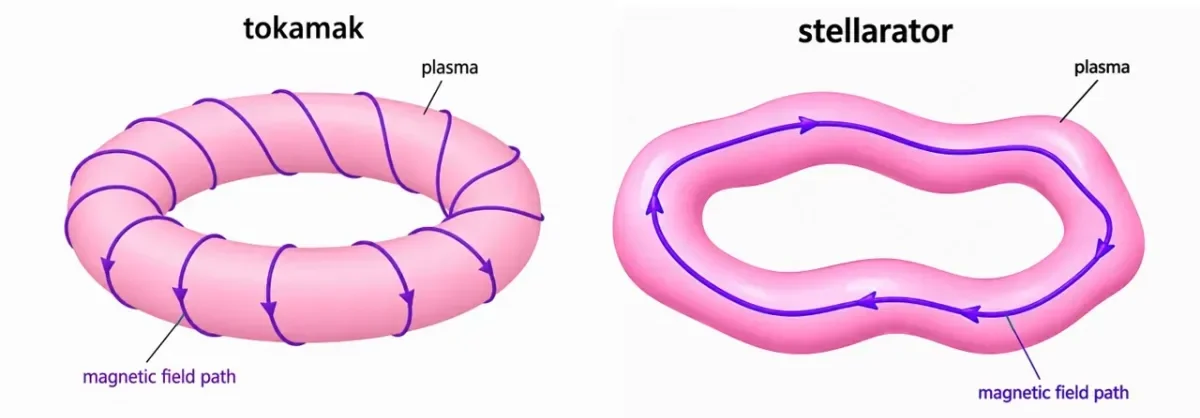 Educational comparison diagram showing a tokamak with a helical magnetic field path around a smooth plasma torus and a stellarator with a twisted plasma shape and magnetic field path.