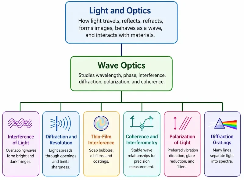 Hierarchical chart showing Light and Optics leading to Wave Optics, followed by six subtopics: interference, diffraction and resolution, thin-film interference, coherence and interferometry, polarization, and diffraction gratings.