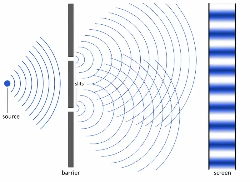 Cross-sectional diagram of Young’s double-slit interference showing a light source, opaque barrier with two slits, overlapping wavefronts, and horizontal bright and dark fringes on a screen.